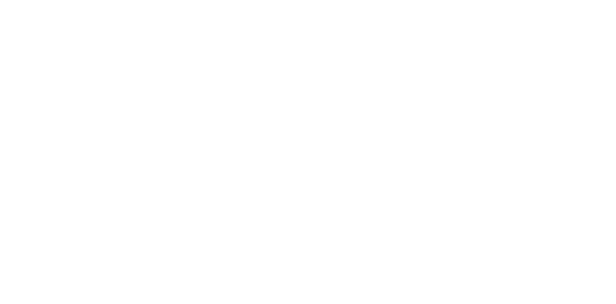 Matheus Marinho Lins